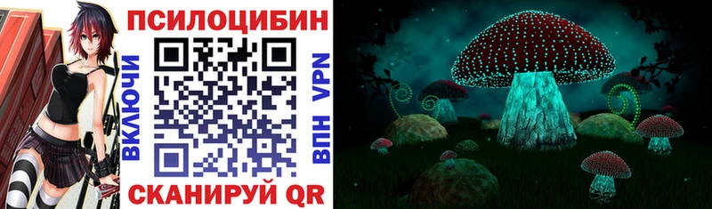 Купить закладки  Новый Оскол  Галлюциногенные грибы Cubensis 